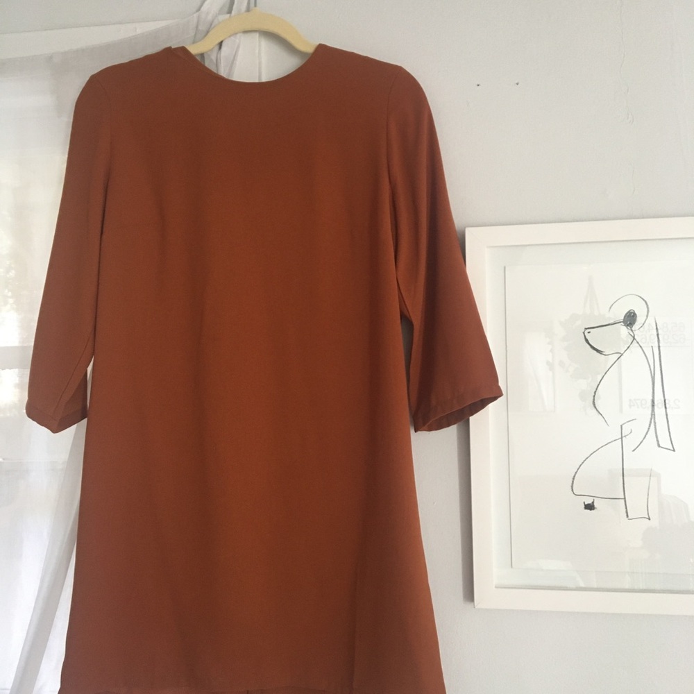 Rust Mini Dress - Picture 4 of 6